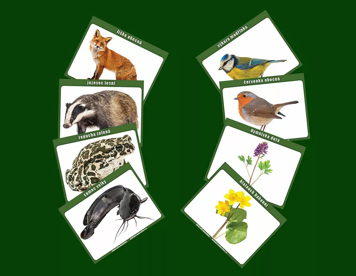 Tabule A5 s živočichy a rostlinami
