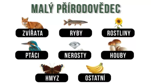 Interaktivní program